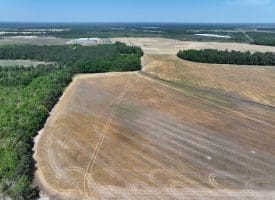 34+/- Acres of Farm and Timberland For Sale in Hoke County, NC!