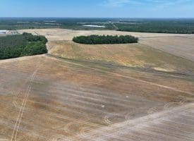 41+/- Acres of Farm and Timberland For Sale in Hoke County, NC!