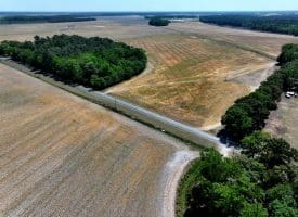 74+/- Acres of Farm and Timberland for Sale in Hoke County, NC!