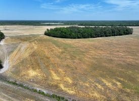 74+/- Acres of Farm and Timberland for Sale in Hoke County, NC!