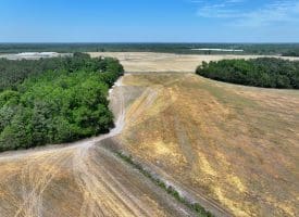 41+/- Acres of Farm and Timberland For Sale in Hoke County, NC!