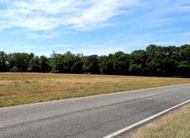 34+/- Acres of Farm and Timberland For Sale in Hoke County, NC!