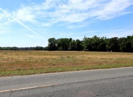 34+/- Acres of Farm and Timberland For Sale in Hoke County, NC!