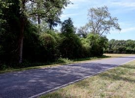 41+/- Acres of Farm and Timberland For Sale in Hoke County, NC!