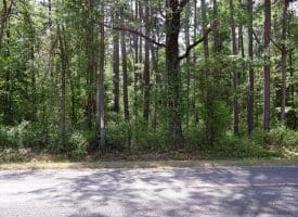 74+/- Acres of Farm and Timberland for Sale in Hoke County, NC!