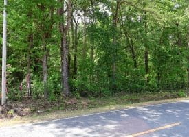 74+/- Acres of Farm and Timberland for Sale in Hoke County, NC!