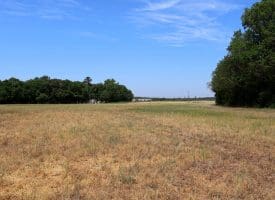 41+/- Acres of Farm and Timberland For Sale in Hoke County, NC!