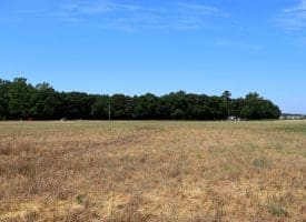 34+/- Acres of Farm and Timberland For Sale in Hoke County, NC!