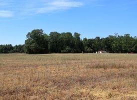 34+/- Acres of Farm and Timberland For Sale in Hoke County, NC!