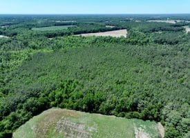 26+/- Acres of Farm and Timber Land For Sale in Robeson County NC!