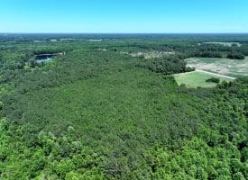 26+/- Acres of Farm and Timber Land For Sale in Robeson County NC!