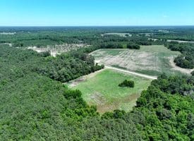 26+/- Acres of Farm and Timber Land For Sale in Robeson County NC!