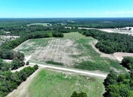 27+/- Acres of Farmland For Sale in Robeson County NC!