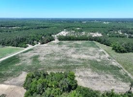 27+/- Acres of Farmland For Sale in Robeson County NC!