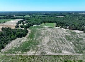27+/- Acres of Farmland For Sale in Robeson County NC!