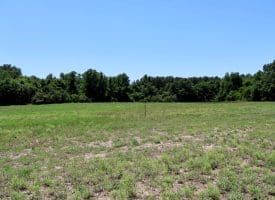 26+/- Acres of Farm and Timber Land For Sale in Robeson County NC!