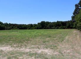 26+/- Acres of Farm and Timber Land For Sale in Robeson County NC!