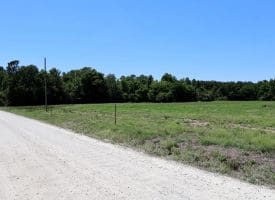 26+/- Acres of Farm and Timber Land For Sale in Robeson County NC!