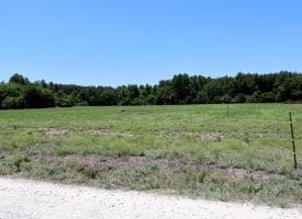 26+/- Acres of Farm and Timber Land For Sale in Robeson County NC!