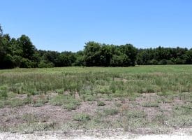 26+/- Acres of Farm and Timber Land For Sale in Robeson County NC!