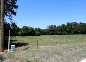 26+/- Acres of Farm and Timber Land For Sale in Robeson County NC!