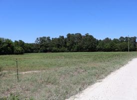 26+/- Acres of Farm and Timber Land For Sale in Robeson County NC!