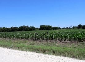 27+/- Acres of Farmland For Sale in Robeson County NC!