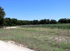 27+/- Acres of Farmland For Sale in Robeson County NC!