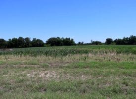 27+/- Acres of Farmland For Sale in Robeson County NC!