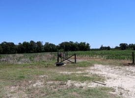 27+/- Acres of Farmland For Sale in Robeson County NC!
