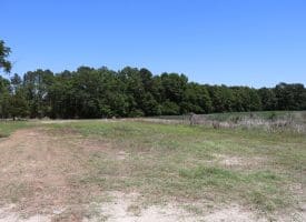 27+/- Acres of Farmland For Sale in Robeson County NC!
