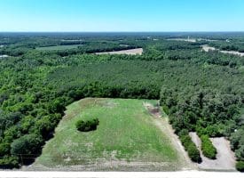 26+/- Acres of Farm and Timber Land For Sale in Robeson County NC!