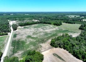 27+/- Acres of Farmland For Sale in Robeson County NC!