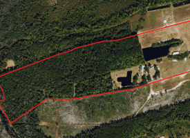 53+/- Acres of Recreational and Residential Land For Sale in Robeson County, NC!