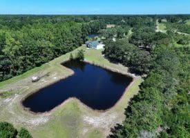 53+/- Acres of Recreational and Residential Land For Sale in Robeson County, NC!