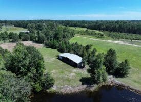 53+/- Acres of Recreational and Residential Land For Sale in Robeson County, NC!