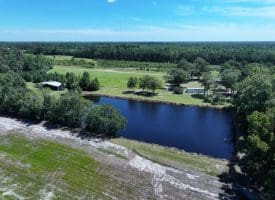53+/- Acres of Recreational and Residential Land For Sale in Robeson County, NC!