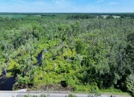 35+/-  Acres of Hunting & Recreational Property in Cumberland County, NC!