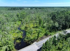 35+/-  Acres of Hunting & Recreational Property in Cumberland County, NC!