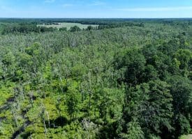 35+/-  Acres of Hunting & Recreational Property in Cumberland County, NC!