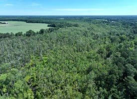 35+/-  Acres of Hunting & Recreational Property in Cumberland County, NC!