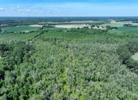 35+/-  Acres of Hunting & Recreational Property in Cumberland County, NC!