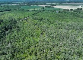 35+/-  Acres of Hunting & Recreational Property in Cumberland County, NC!