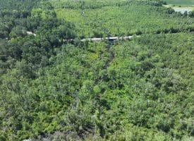 35+/-  Acres of Hunting & Recreational Property in Cumberland County, NC!