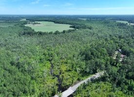 35+/-  Acres of Hunting & Recreational Property in Cumberland County, NC!