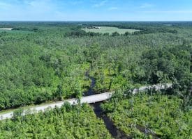 35+/-  Acres of Hunting & Recreational Property in Cumberland County, NC!