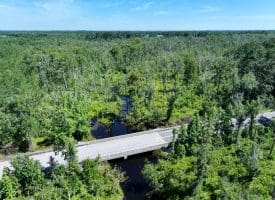 35+/-  Acres of Hunting & Recreational Property in Cumberland County, NC!