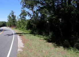 35+/-  Acres of Hunting & Recreational Property in Cumberland County, NC!