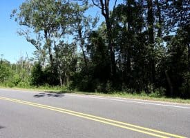 35+/-  Acres of Hunting & Recreational Property in Cumberland County, NC!