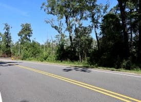 35+/-  Acres of Hunting & Recreational Property in Cumberland County, NC!